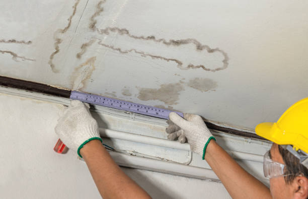 Reliable Water Damage contractor in Perry, MI by Water Damage Irwin